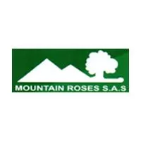 Mountain-Roses