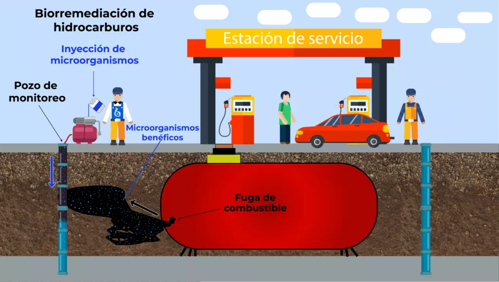 Sin biorremediar