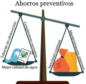 Beneficios bacterias benéficas