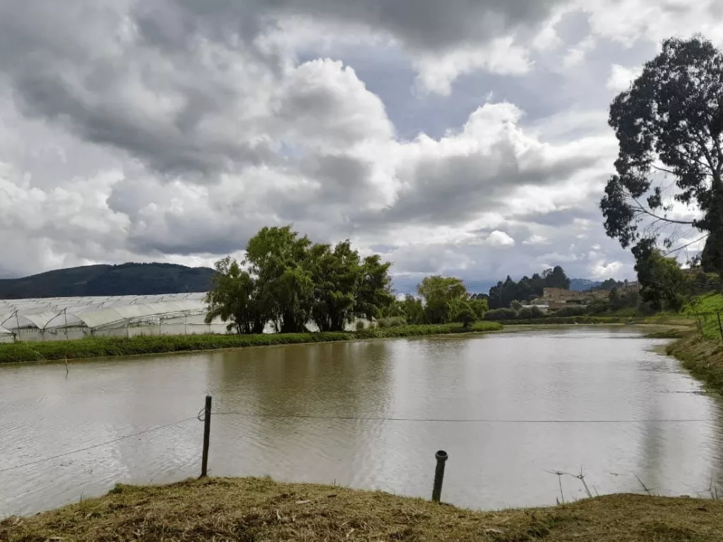 Reservorio estabilizado con bacterias benéficas