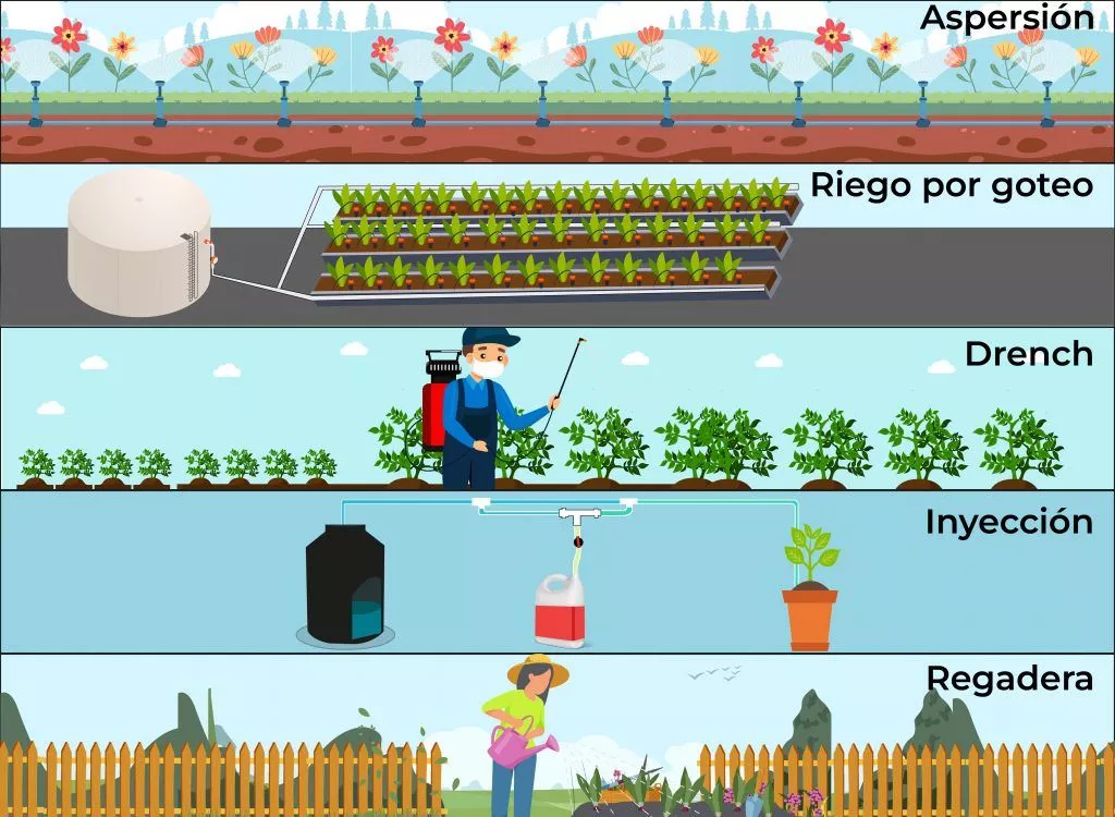 Diferentes metodos de aplicación de bacterias benéficas en cultivos