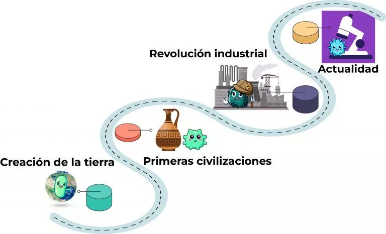 Línea de tiempo bacterias benéficas
