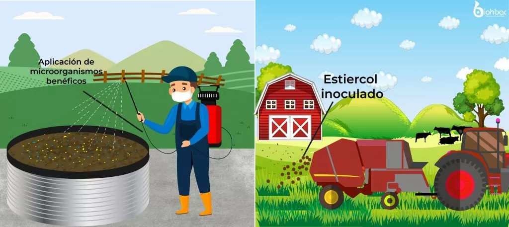 Aplicación en estercolera