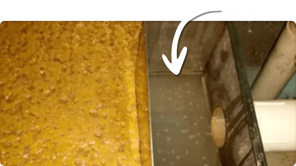 Trampa de grasa en operación con acumulación de residuos y compartimiento de salida limpio, como resultado del tratamiento biológico para control de olores y mantenimiento con Biohbac.